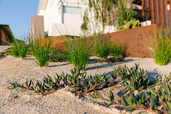 Sorrento Landscape Construction